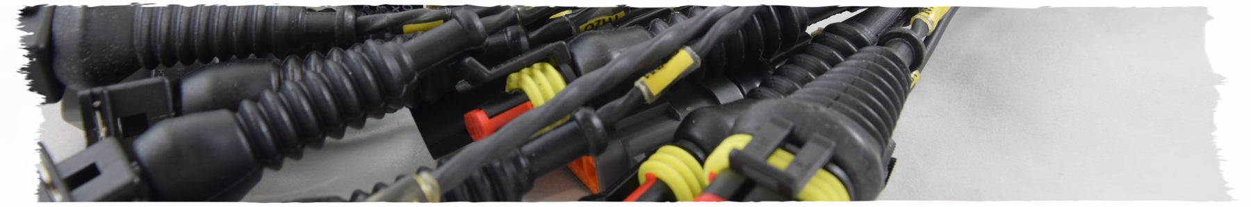 cablaggio motore per gestione motore preparato elaborazione vettura filo argento cablaggio motorsport a misura o a disegno cablaggi standard per motori 4 cilindri bicilindrico fiat 500 motori v6 6 cilindri elettronica gestione controllo motore efi technology bobine singole ingressi programmabili gestione motore sequenziale con 4 corpi farfallati impianto elettrico motore