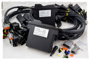 Elettronica programmabile da competizione Euro2 efi technologi euro4 interfaccia can di comunicazione per mappatura online acquisizione dati in tempo reale logger e telemetria dati funzionamento motore sonda lambda in auto mappatura e correzione della carburazione in tempo reale clc closed loop lambda