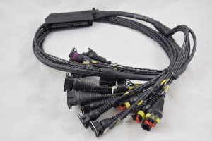 cablaggio per lancia fiat alfa romeo giulia alfa romeo 75 turbo audi renault clio cablaggio motore per clio williams preparazione motore swap elaborazione motore turbo conversione turbo preparazione motore aspirato con 4 corpi farfallati engine builder  controllo motore ingressi programmabili cambio mappa gestione sonda lambda in retroazione elaborazione motore