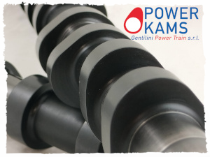 Realiziamo e commercializiamo pistoni per tutte le vetture per elaborazione motori da competizione pistoni forgiati per motori turbo stampati per motori aspirati con disegno ad alta compressione realizzati a disegno o su campione