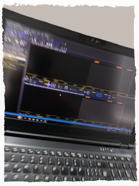 sviluppo e mappatura centralina modifica e vendita file assistenza risoluzione problemi fap egr dpf filtro anti particolato benzina e diesel sviluppo mappatura con winols damos elaborazione eletrronica motori e centraline lettura e scrittura mappe obd protocollo scrittura boot