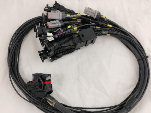 Cablaggio predisposto per il collegamento totale delle funzioni della euro2 plus uscite per 8 iniettori 4 iniettori bassi vicino alla testa e 4 iniettori alti sulle trombette di aspirazione ingressi e uscite programmabili gestione pierburg per westgate per motori turbo incremento potenza e prestazioni su applicazione per vetture stradali preparate