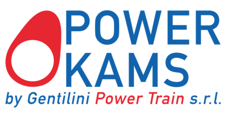 produzione alberi a camme qualità superiore preparazione ed elaborazione motori da competizione incremento potenza aumento giri motore elaborazione motori aspirati per competizioni auto storiche preparazione motori turbo per gare di accelerazione competizioni automobilistiche trattamento superficiale albero a cam scorrevolezza prestazioni affidabilità fasatura camme sportiva